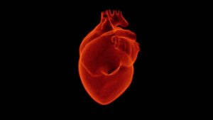 Riabilitazione Cardiologica a Medicina
