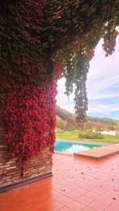 Casa di Cura Gruppioni Esterni a