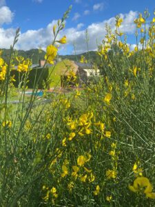 Casa di Cura Gruppioni Esterni c