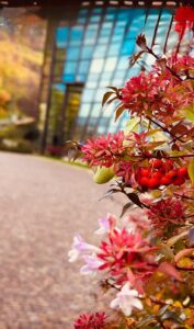 Casa di Cura Gruppioni Esterni d