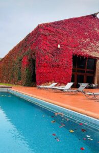 Casa di Cura Gruppioni Esterni e