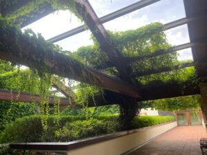 Casa di Cura Gruppioni Esterni i 1