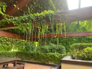 Casa di Cura Gruppioni Esterni l