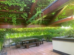 INVIATE DA BENEDETTA 3