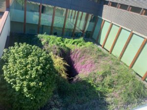 INVIATE DA FRANCESCO 2