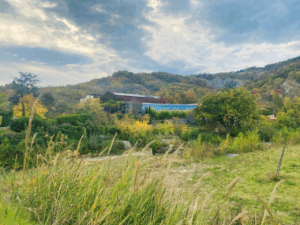 snapedit 1761752972809 PIu LUMINOSA